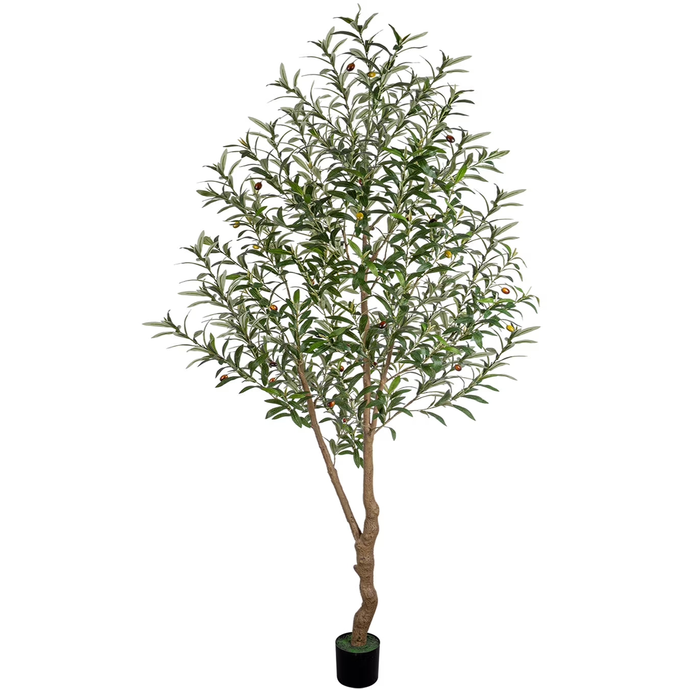 Close-up of matte leaves and lifelike olives on the Olivamere Tree